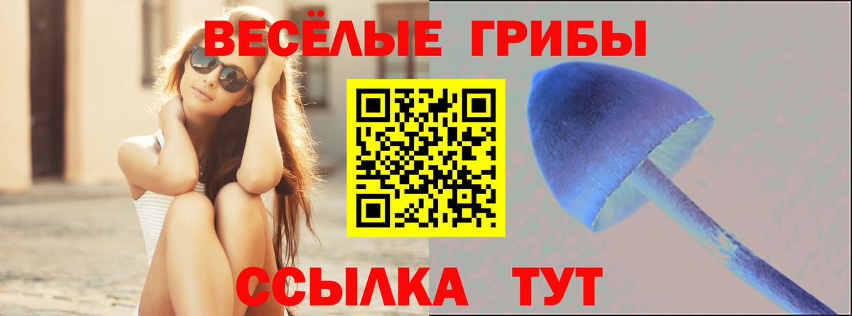Тихорецк  Псилоцибиновые грибы Magic Shrooms  Вход с VPN  Галлюциногенные грибы прущие грибы 